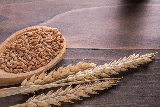穀物と小麦と木のスプーン - 写真・画像