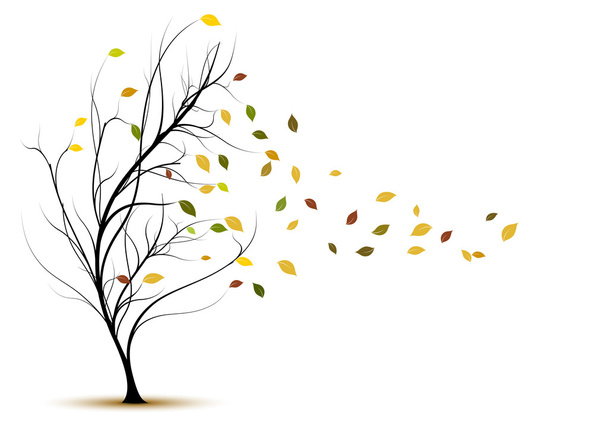 Силуэт декоративного дерева осенью
 - Фото, изображение