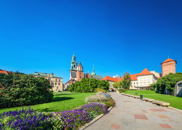 Hrad Wawel a katedrála náměstí Cracow - Fotografie, Obrázek
