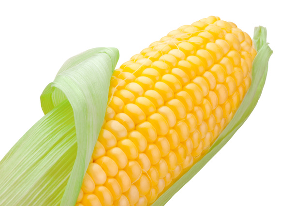 Крупним планом верхній кукурудзяний коб ізольований на білому тлі
 - Фото, зображення