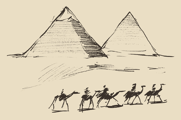 Pyramids in Cairo  with camels - Vector, Image