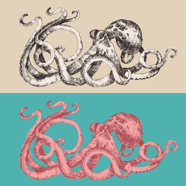Esboço desenhado à mão de Octopus
 - Vetor, Imagem