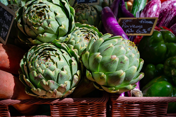 Nowe zbiory świeżych dojrzałych ekologicznych głowic karczochów na lokalnym rynku rolniczym w Dordogne we Francji - Zdjęcie, obraz