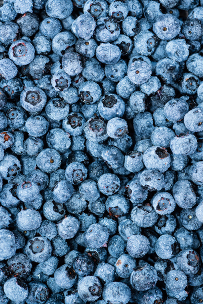Portion of Fresh Blueberries as background - Fotó, kép