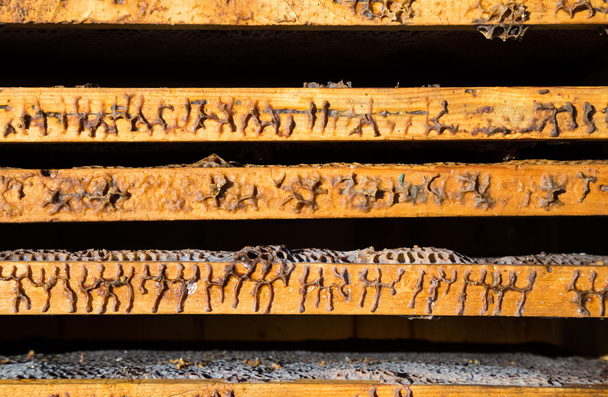 Beeld in close-up van een oude geopende bijenkorf van bovenaf - Foto, afbeelding