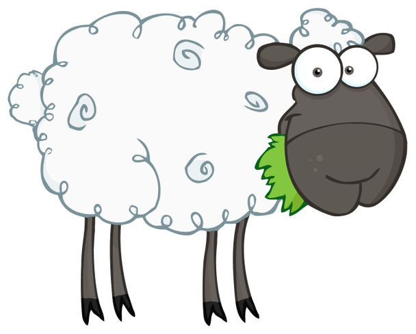 Black Barnyard moutons mangeant de l'herbe
 - Photo, image