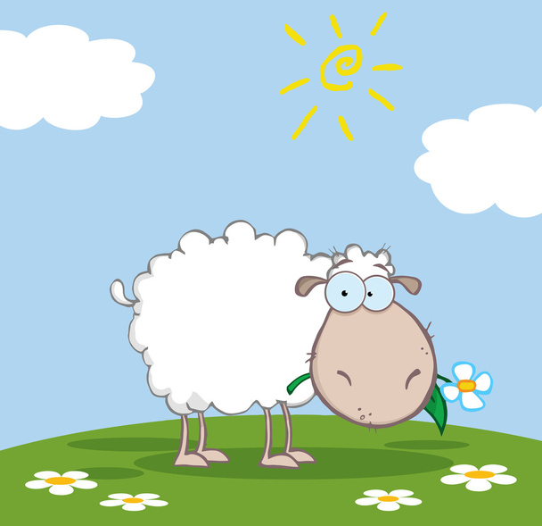 Grazing ovejas en una colina
 - Foto, imagen