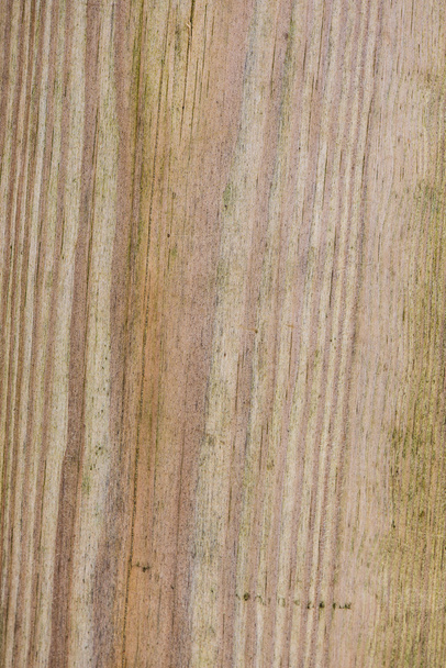 Holzplanke mit Splittern und Rissen - Foto, Bild