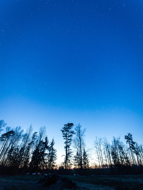 night sky with stars - Fotografie, Obrázek