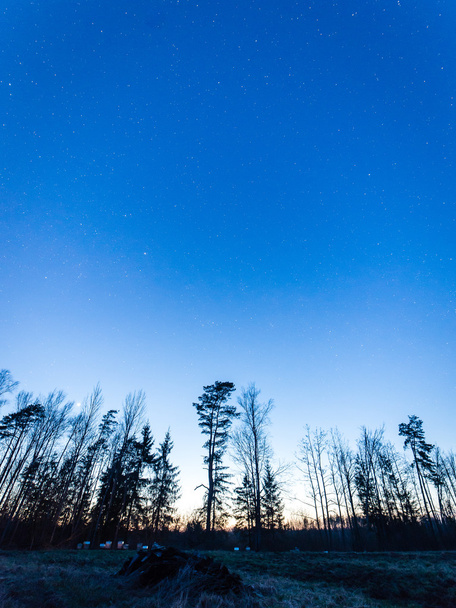 ciel nocturne avec étoiles - Photo, image