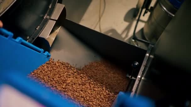 primo piano lavoratore in una fabbrica di caffè versa il caffè da una scatola blu in un meccanismo di torrefazione del caffè - Filmati, video