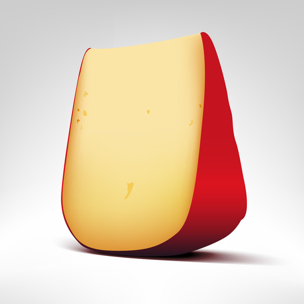 Gouda cheese illustration - Vector, Image