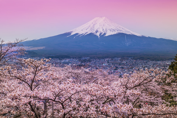 berg fuji in voorjaar, cherry blossom sakura - Foto, afbeelding