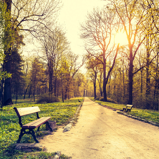 Beautiful spring landscape. Bench and footpath in morning park - Zdjęcie, obraz