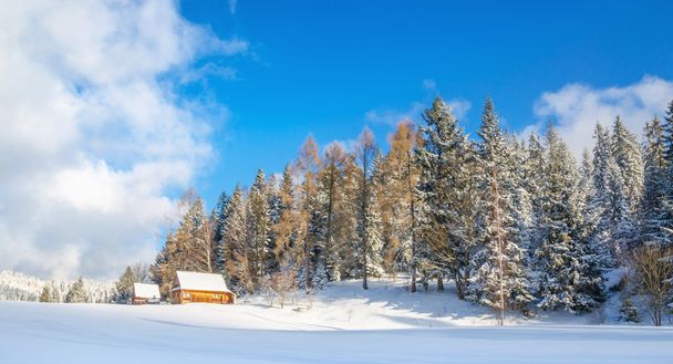 Kabin Beskidy, Polonya, karla kaplı - Fotoğraf, Görsel