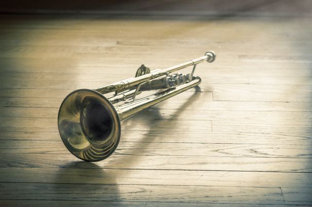 Trumpetti puulattia
 - Valokuva, kuva