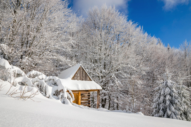 Kışın sessiz ahşap dağ kabin - Fotoğraf, Görsel