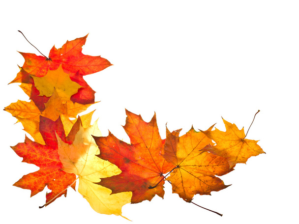 Herbstblätter rahmen ein - Foto, Bild