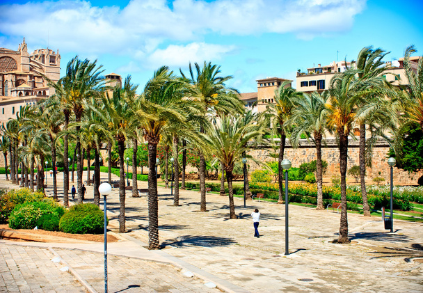 Katedraali La Seu. Palma de Mallorca (s. Välimeren alue
 - Valokuva, kuva