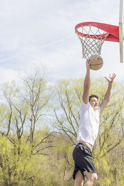 Basket-ball fantaisie mises en page
 - Photo, image