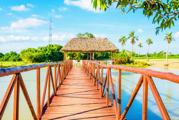 drewniany most na piękne jezioro, wakacje na Kubie - Zdjęcie, obraz