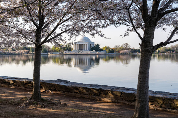 Thomas Jefferson Memorial νωρίς το πρωί ηλιοφάνεια κατά την εποχή ανθίσεων κερασιάς στην Ουάσιγκτον - Φωτογραφία, εικόνα