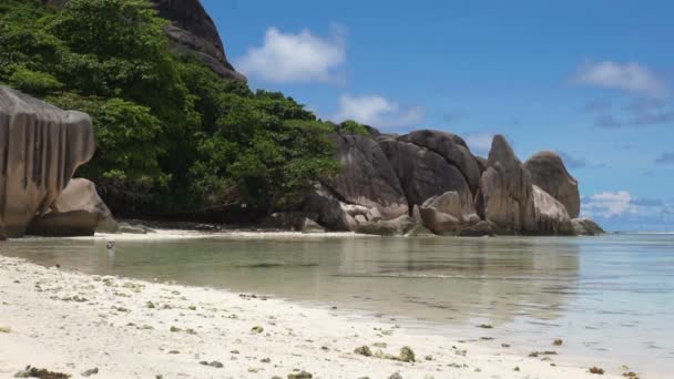 Strand der Seychellen - Filmmaterial, Video