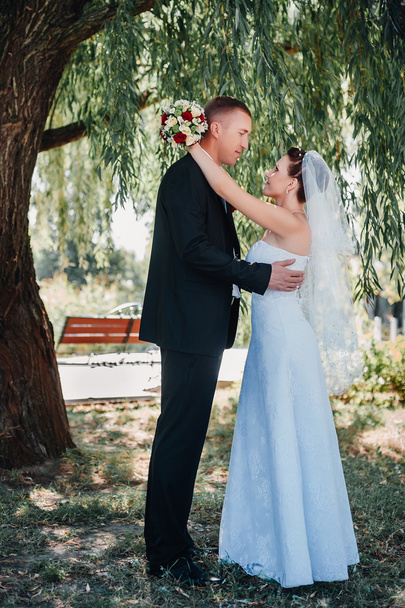 Bride and Groom at wedding Day walking Outdoors on spring nature. Bridal couple, Happy Newlywed woman and man embracing in green park. Loving wedding couple outdoor. - Zdjęcie, obraz