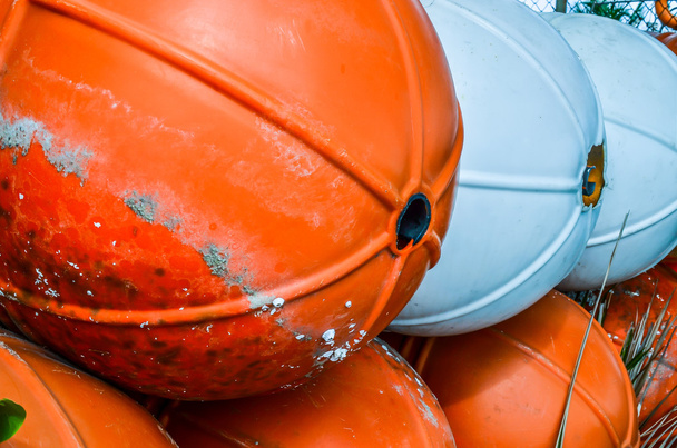Close up of buoy on the beach - Photo, Image