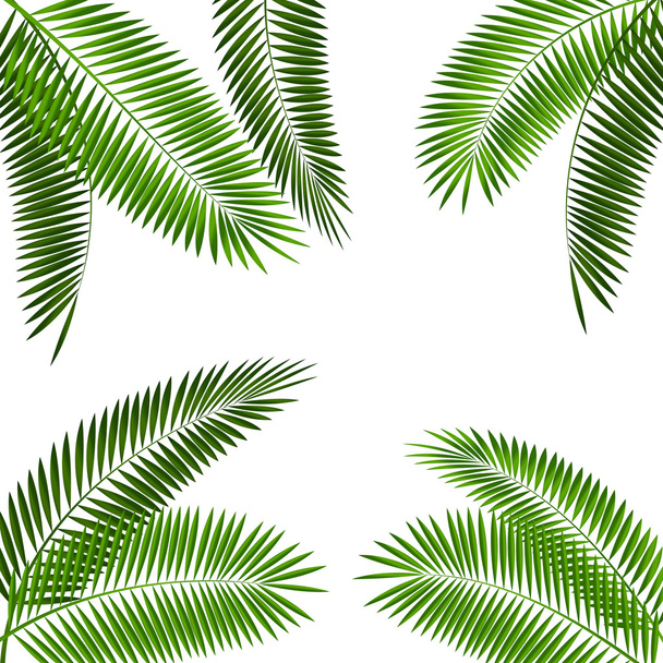 Palm Leaf Vector Illustration - Vector, Image