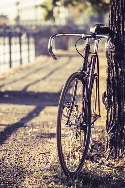 Bicicleta estrada de bicicleta de engrenagem fixa
 - Foto, Imagem