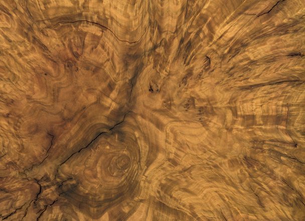 Brown burl wood detail - Photo, Image