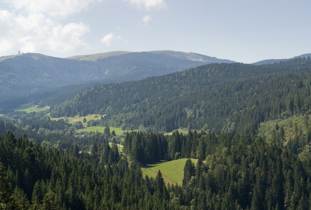 Ilmaiset Schwarzwaldin maisemat kesällä
 - Valokuva, kuva