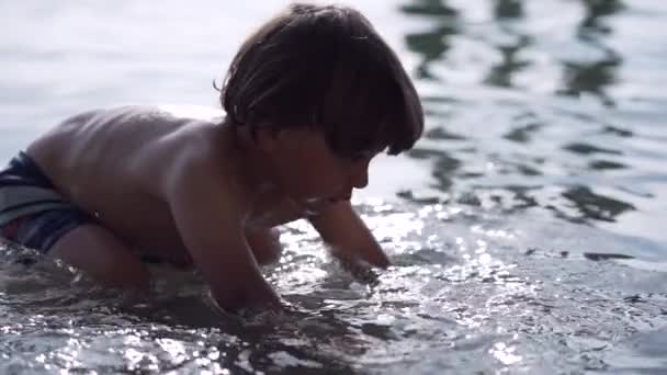 Niño emergiendo del agua cristalina del lago en la playa de guijarros durante el día de diversión de verano - Imágenes, Vídeo