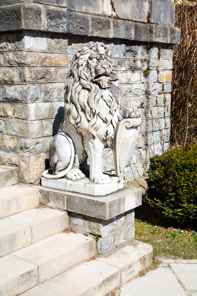 Aslan heykeli Peles Kalesi, Romanya'nın bahçesinde - Fotoğraf, Görsel