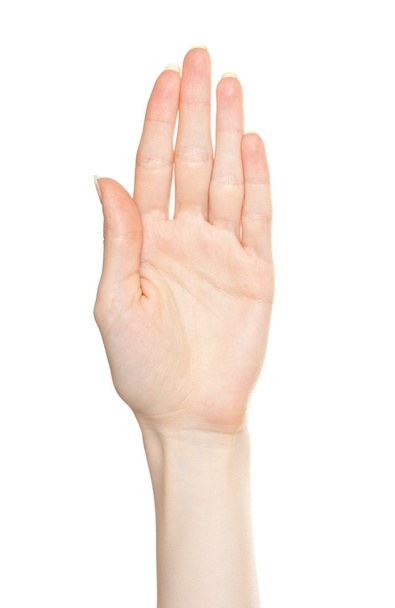 vrouw open palm - Foto, afbeelding