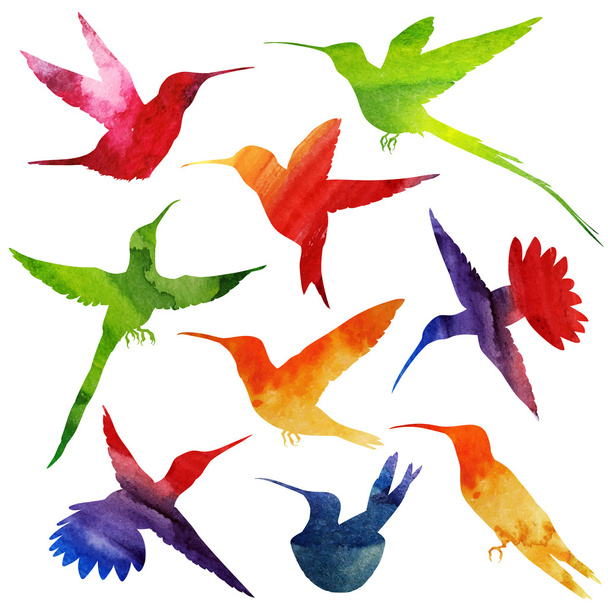 Hummingbirds Silhouette. watercolor illustration - Vector, imagen