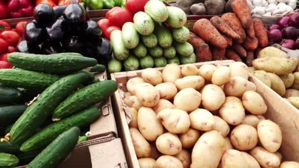 świeże warzywa na targu rolnicy - Materiał filmowy, wideo