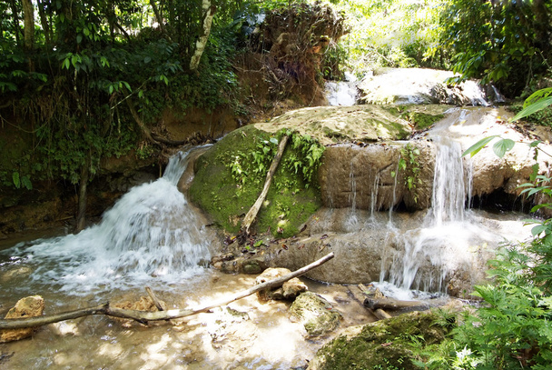 Jardines de selva tropical, justo al lado de una impresionante cascada en Cayo Levantado, República Dominicana
. - Foto, Imagen