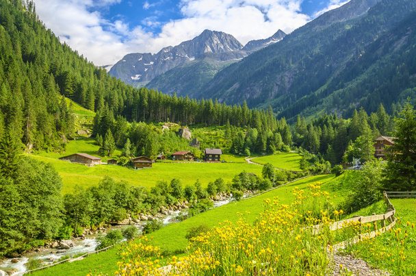 Красивый альпийский пейзаж
 - Фото, изображение