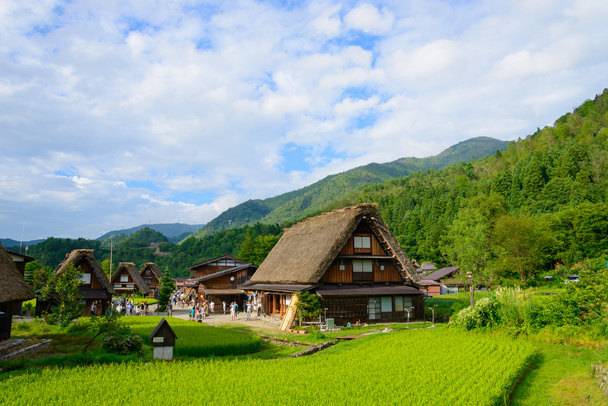 Village de Gassho-zukuri
 - Photo, image