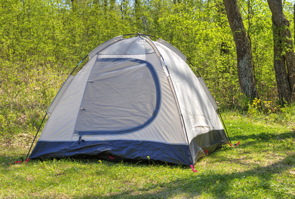 Tenda de acampamento na floresta ensolarada
 - Foto, Imagem