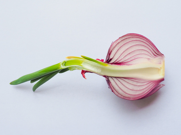 Red onions vegetable sliced - Fotó, kép