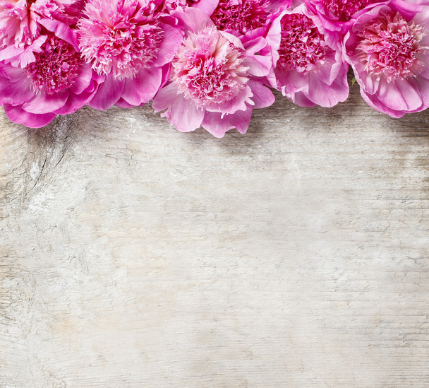 Stunning pink peonies on white rustic wooden background - Foto, immagini