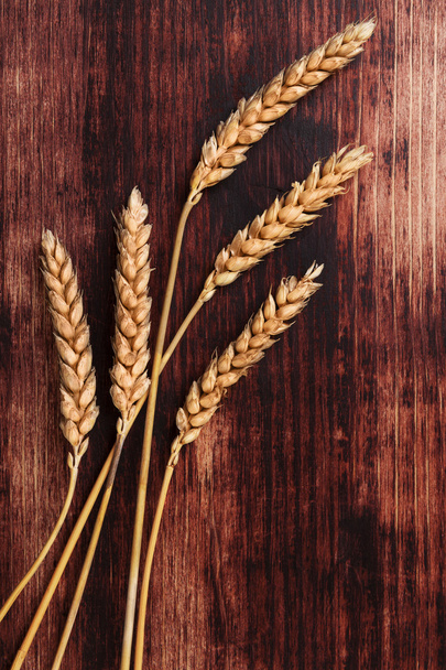 Dried barley close up - Photo, Image