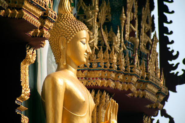 Standing Buddha front of Church on Thai temple in Thailand. - Photo, image