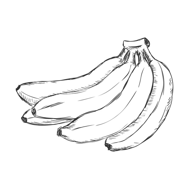Γελοιογραφία δέσμη των μπανανών - Διάνυσμα, εικόνα
