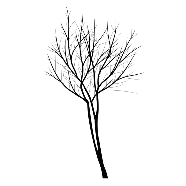 枯れた枝が付いている木 - ベクター画像