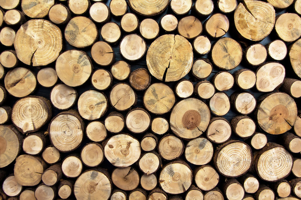 fából készült gerendák  - Fotó, kép