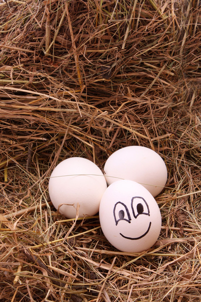 Eggs on the hay - Φωτογραφία, εικόνα